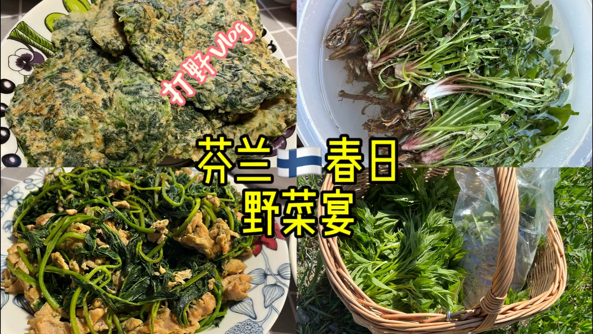 等了一年的美味!芬兰野菜宴!羊角芹+荨麻哔哩哔哩bilibili