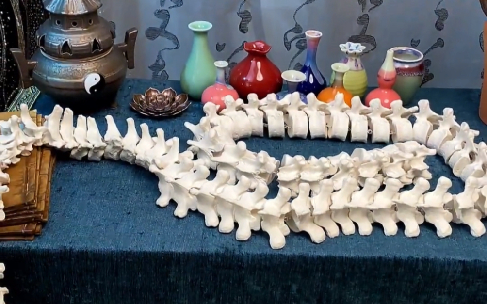 粉丝:姐姐做个惊封骨鞭吧,好想好想好想要.阁主:来了来了,花了几天把