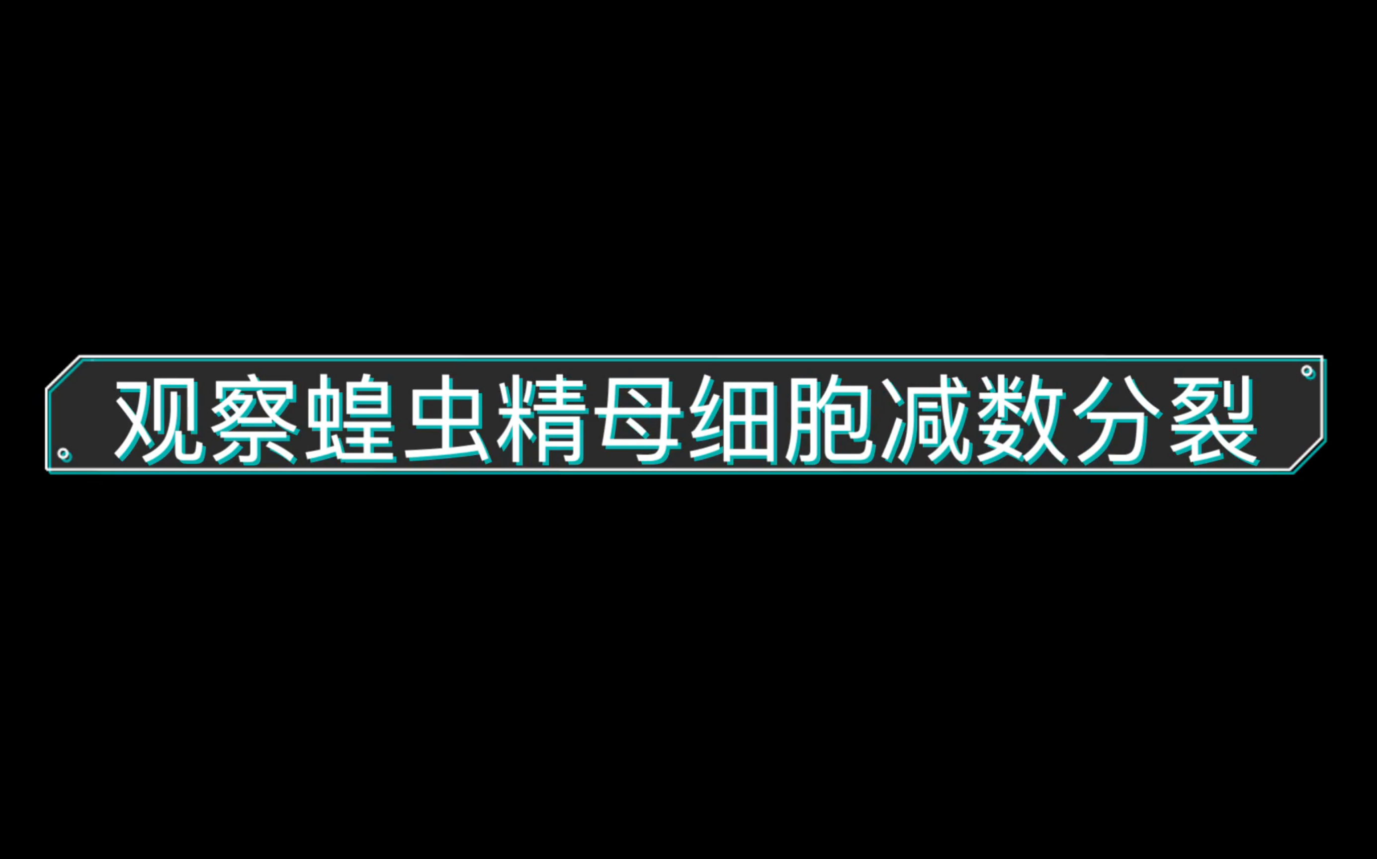 观察蝗虫精母细胞减数分裂哔哩哔哩bilibili