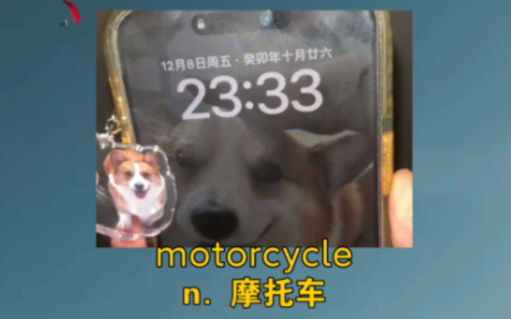 《梦见了自家狗骑着摩托车跑了》 motorcycle:n. 摩托车哔哩哔哩bilibili