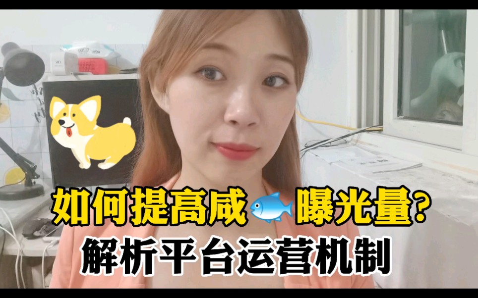 如何提高曝光量哔哩哔哩bilibili