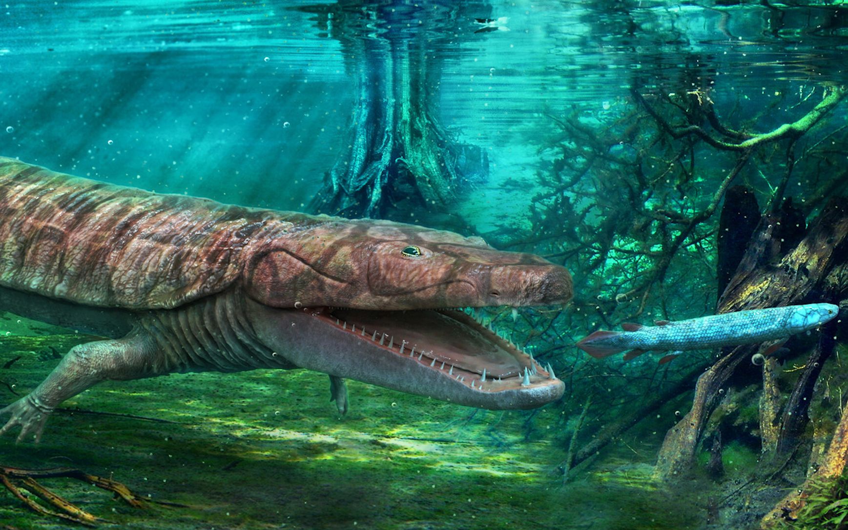 3亿年前的怪螈们-早石炭纪的两栖类猎手(非主流篇)