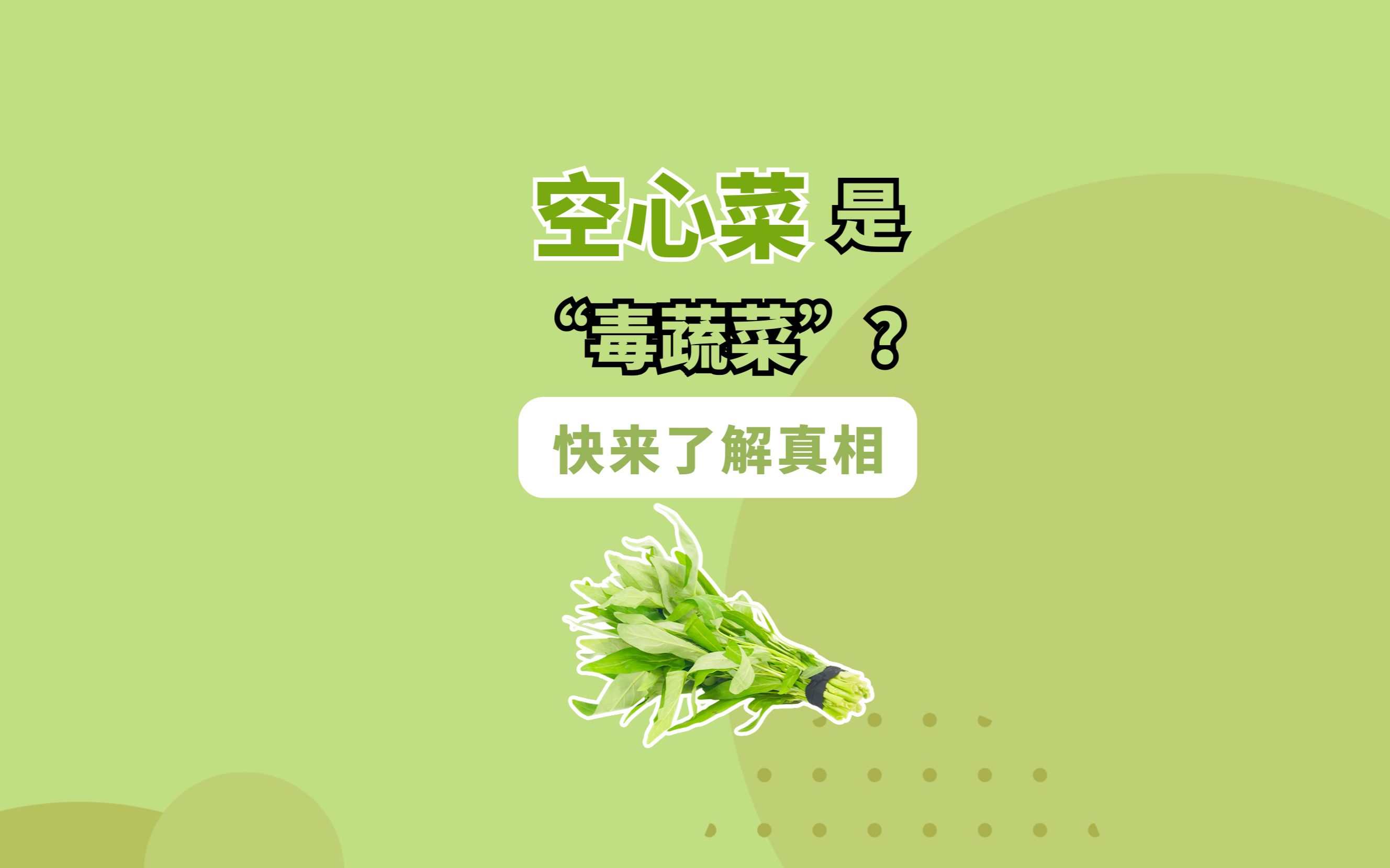 空心菜是“毒蔬菜”?快来了解真相哔哩哔哩bilibili