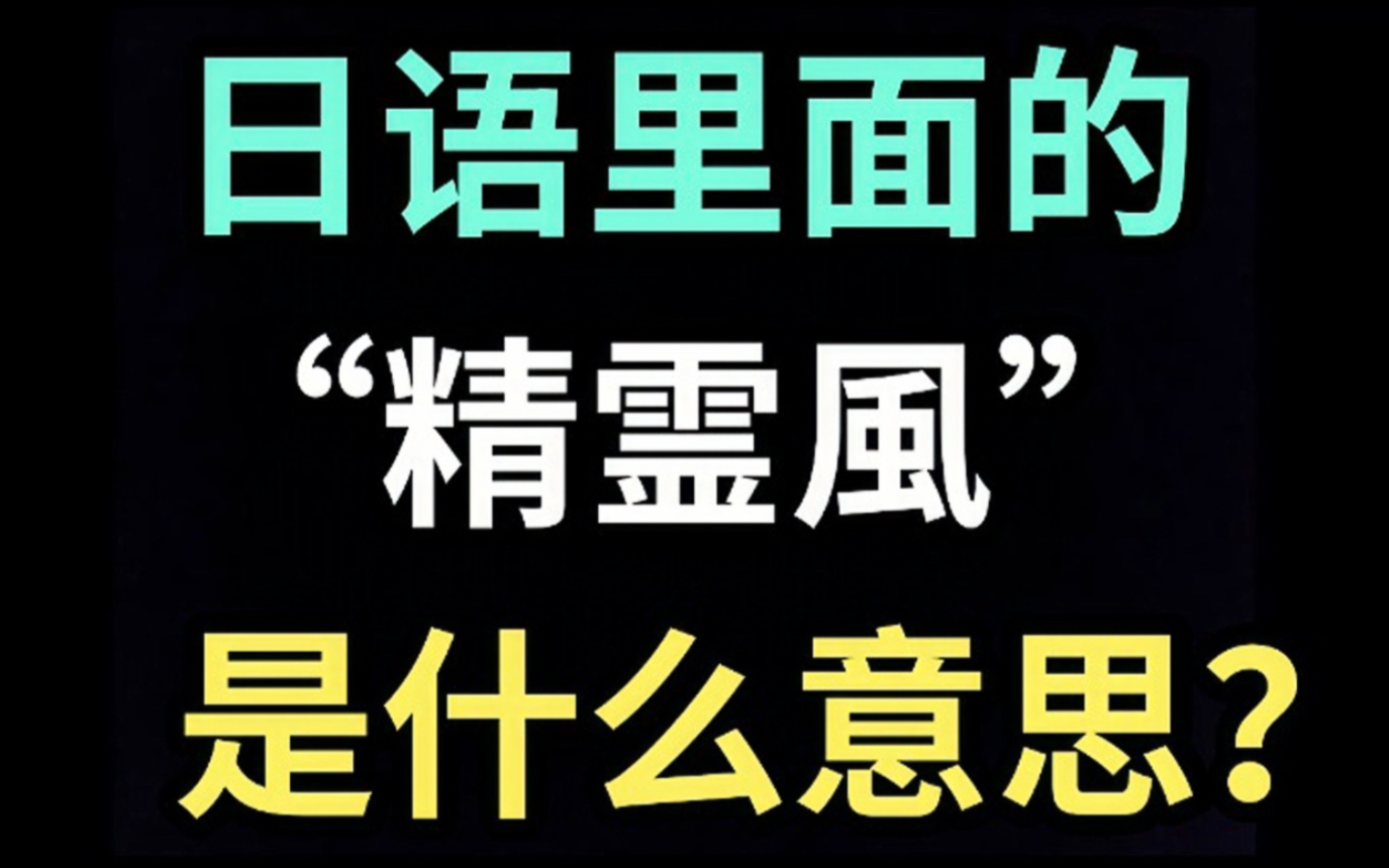 日语里的“精霊风”是什么意思?【每天一个生草日语】哔哩哔哩bilibili