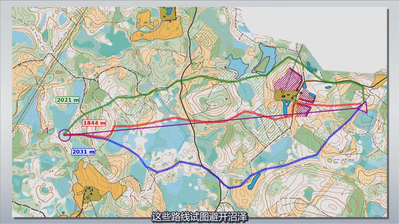 【中字】2017定向世锦赛爱沙尼亚站长距离 Nokian Tyres WOC 2017 Long哔哩哔哩bilibili