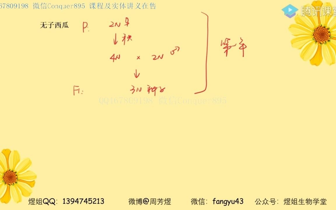 2.【技巧拔高】无子西瓜与无子番茄~1哔哩哔哩bilibili