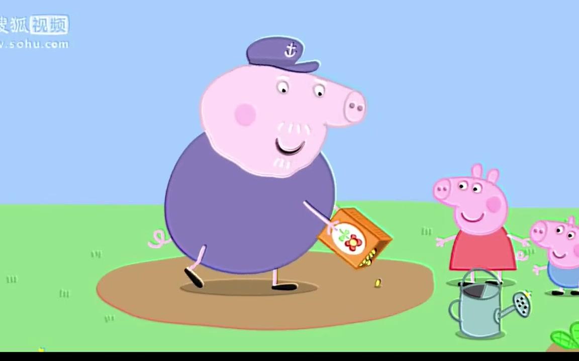 为什么我的小猪佩奇和你们不一样4