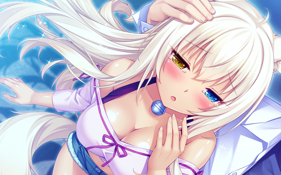 [图][Nekopara vol.2]草猫2全剧情流程