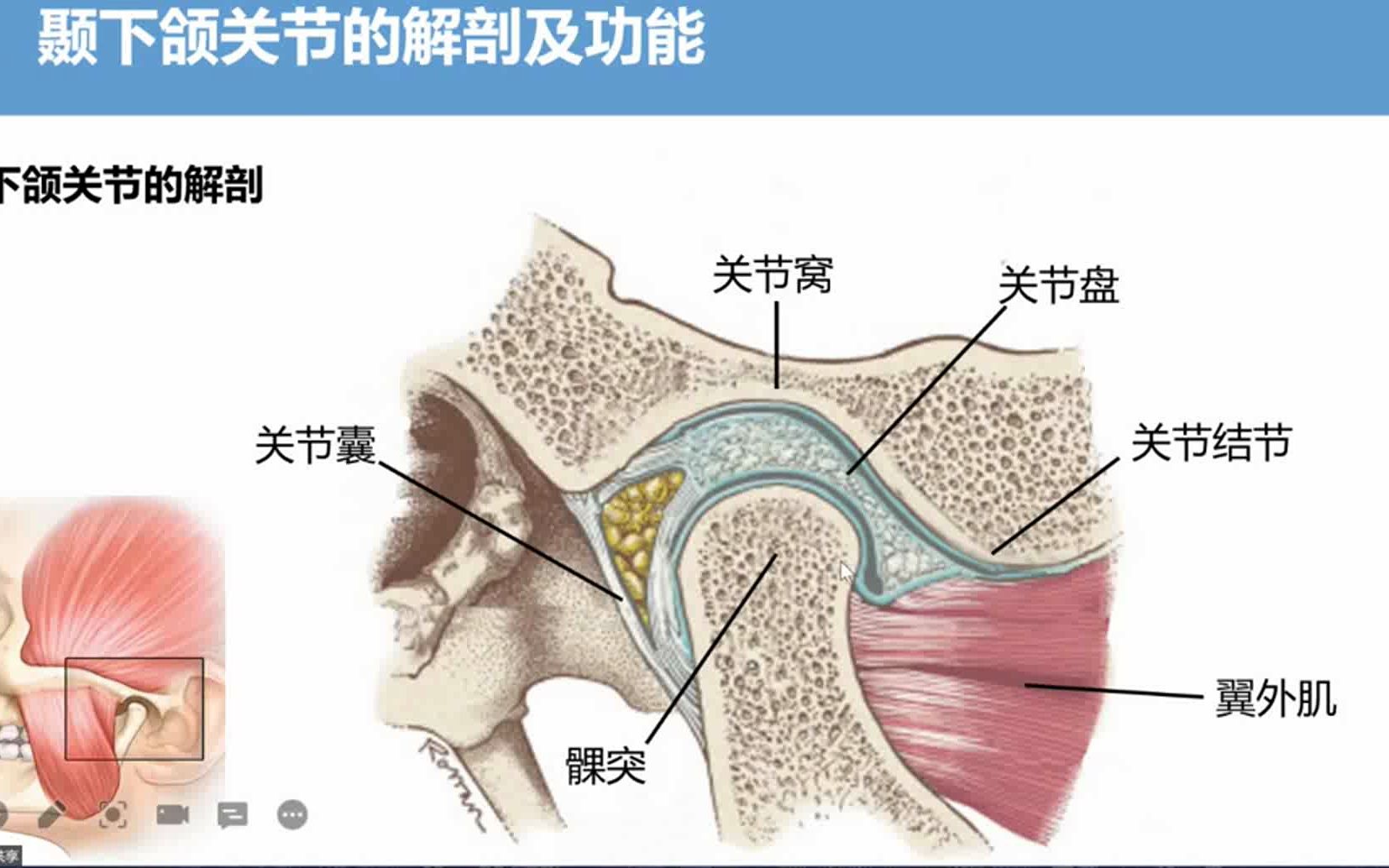 9颞下颌关节紊乱磁共振评价