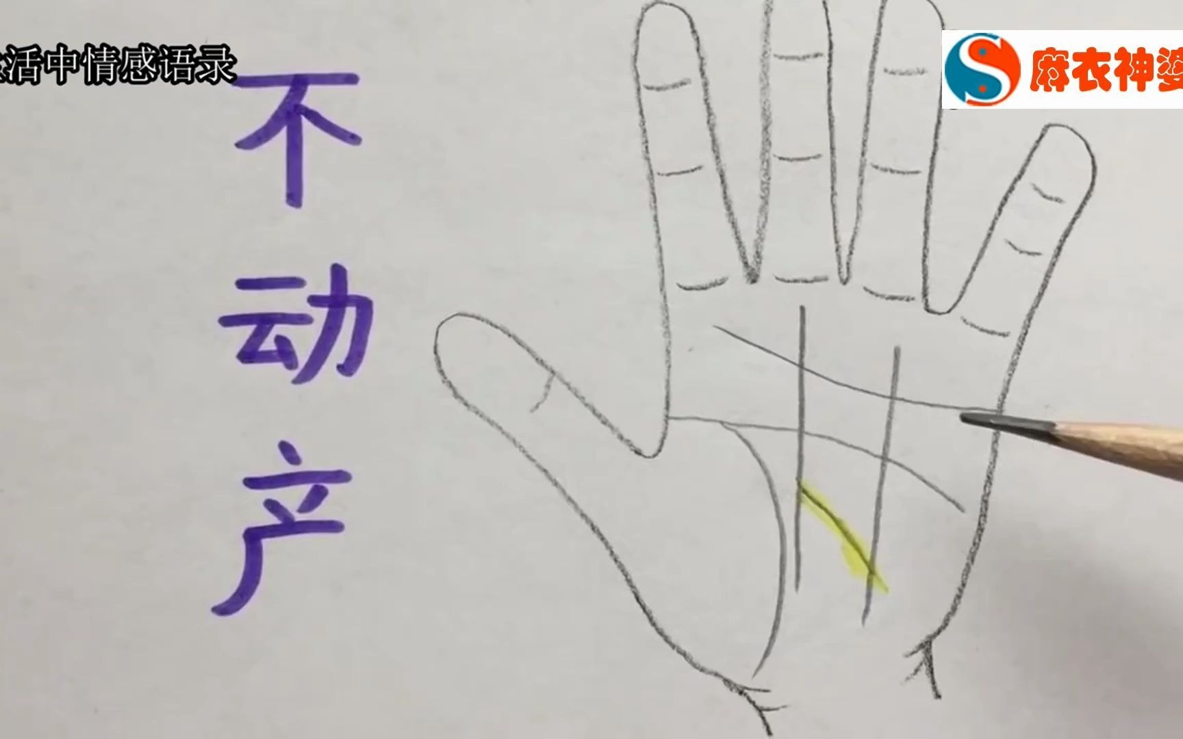 手相看运势手中不动产线看命运你有这条手纹吗