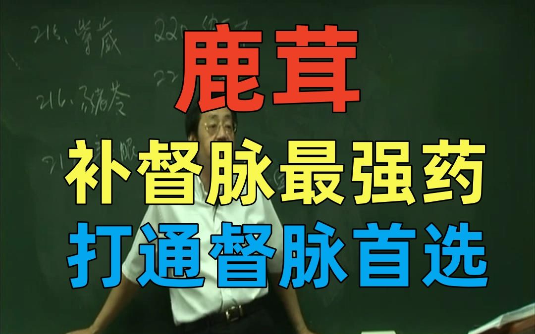 倪海厦 鹿茸 最强补督脉 可以打通督脉 真的很强大 补血生效助阳 男女都可用 腰椎空盘突出效果好哔哩哔哩bilibili