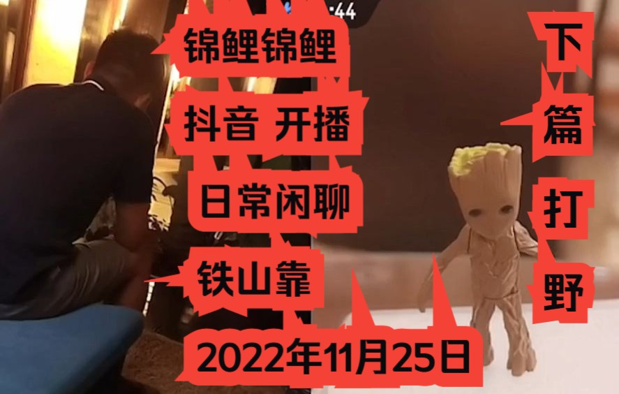 锦鲤锦鲤 抖音 开播 日常闲聊 铁山靠 2022年11月25日哔哩哔哩bilibili