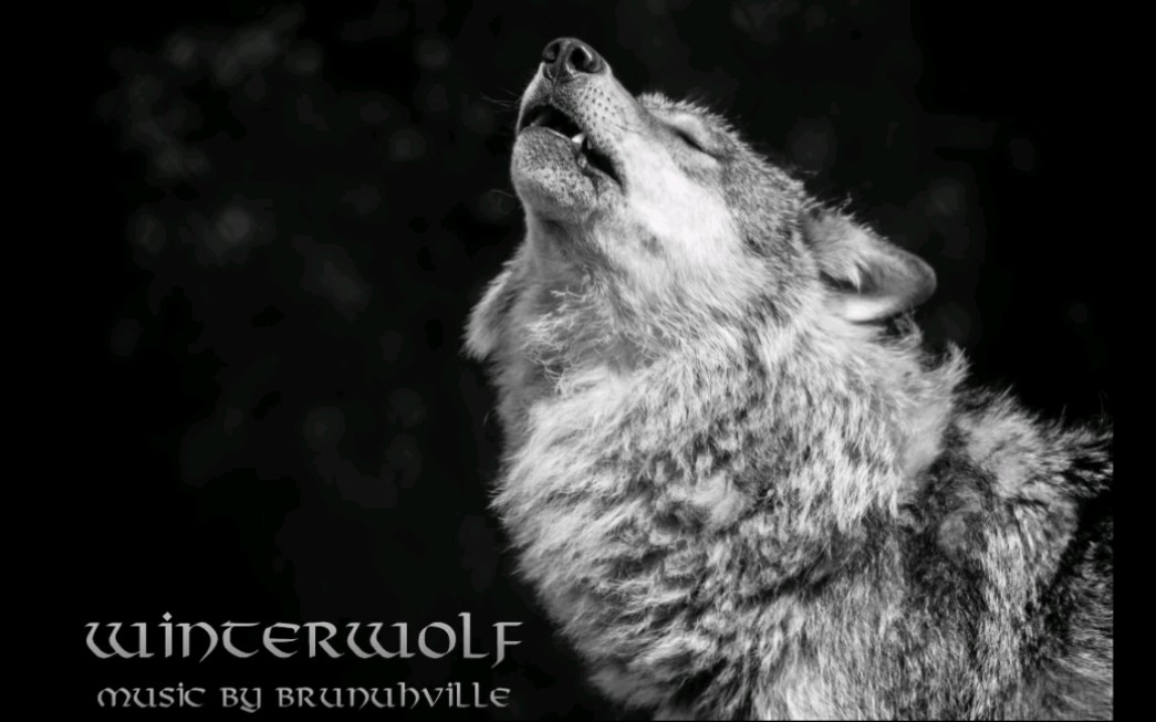 中世纪民谣冬狼