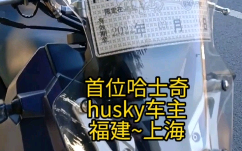 首位哈士奇husky车主福建~上海哔哩哔哩bilibili