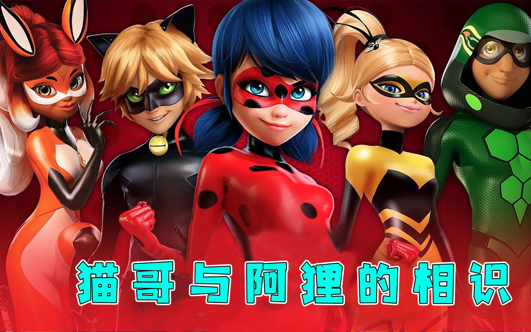 神奇瓢虫:猫哥和阿狸第一次见面相识的故事!