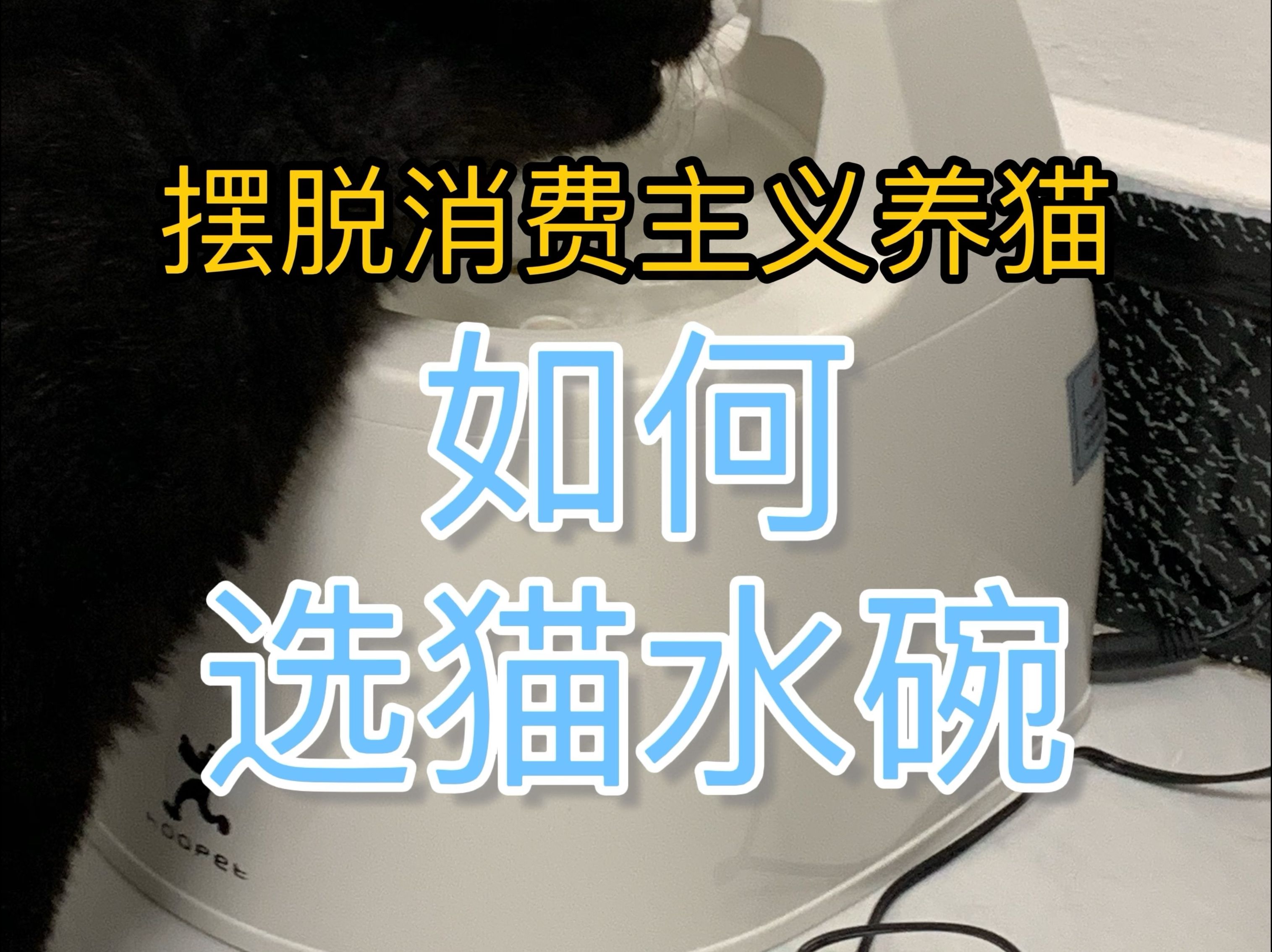 就这一种猫水碗,省钱卫生又省心,人和猫都满意!哔哩哔哩bilibili