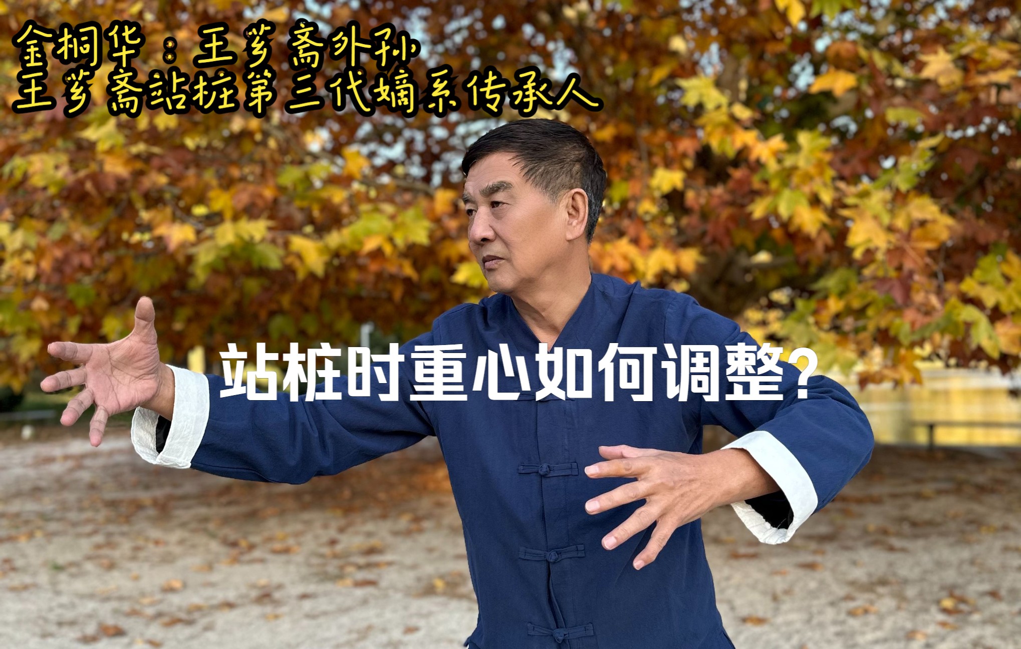 站桩时重心如何调整?——金桐华站桩教学 大成拳 浑元桩哔哩哔哩bilibili