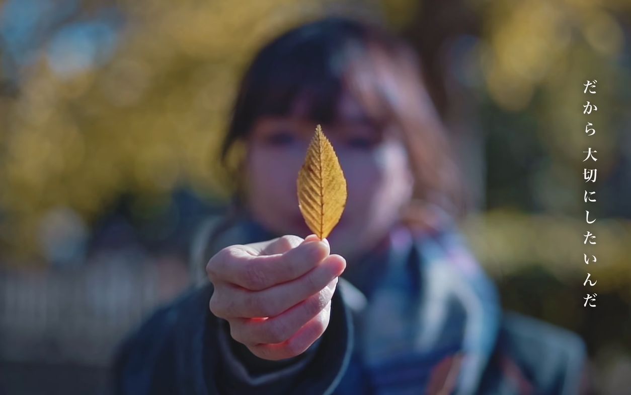 [图]【4K】油管大神AUXOUT电影感Vlog TAKE MY HAND SONY A7III