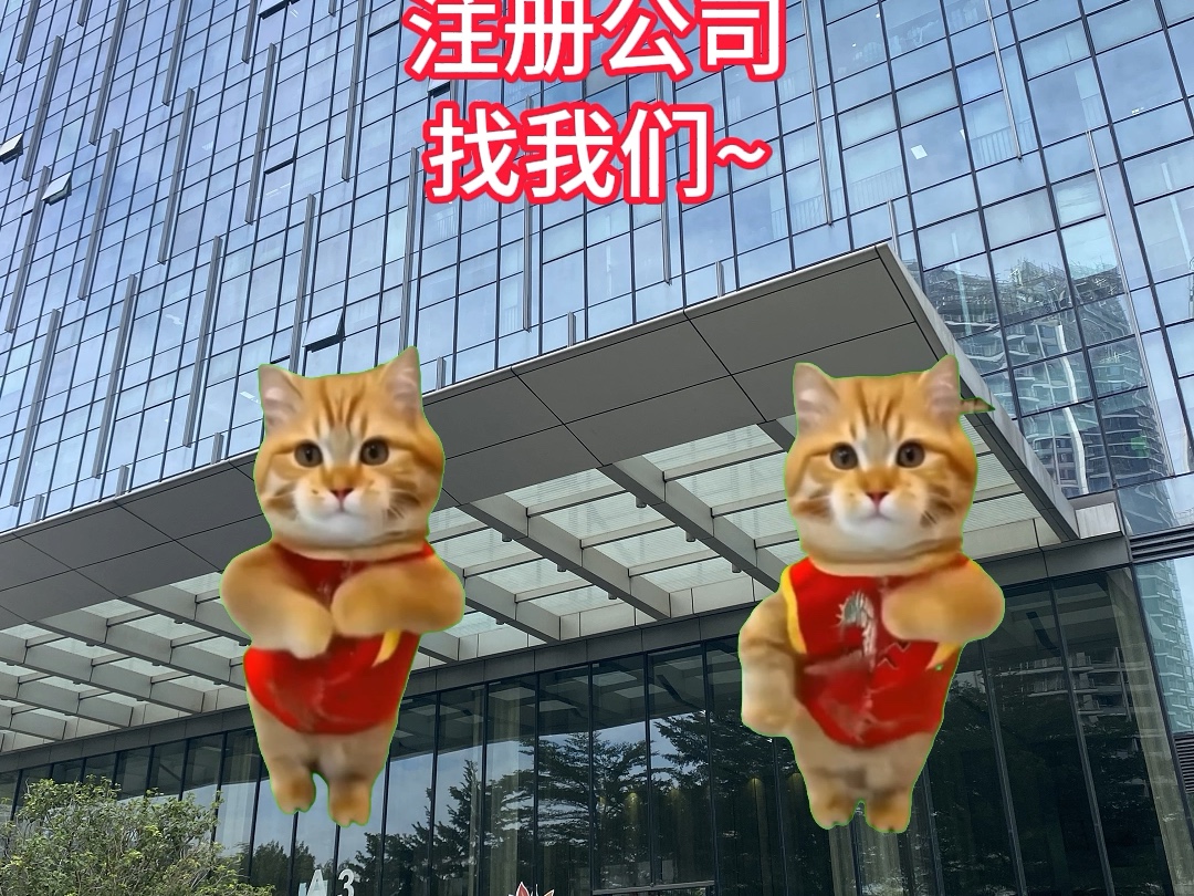 【猫meme】00后在财税公司做宣传呜呜呜,我也想要猫meme大军点进来好吗,求求了.严正声明:视频内容纯属玩都是我胡言乱语,我的领导非常好(求...