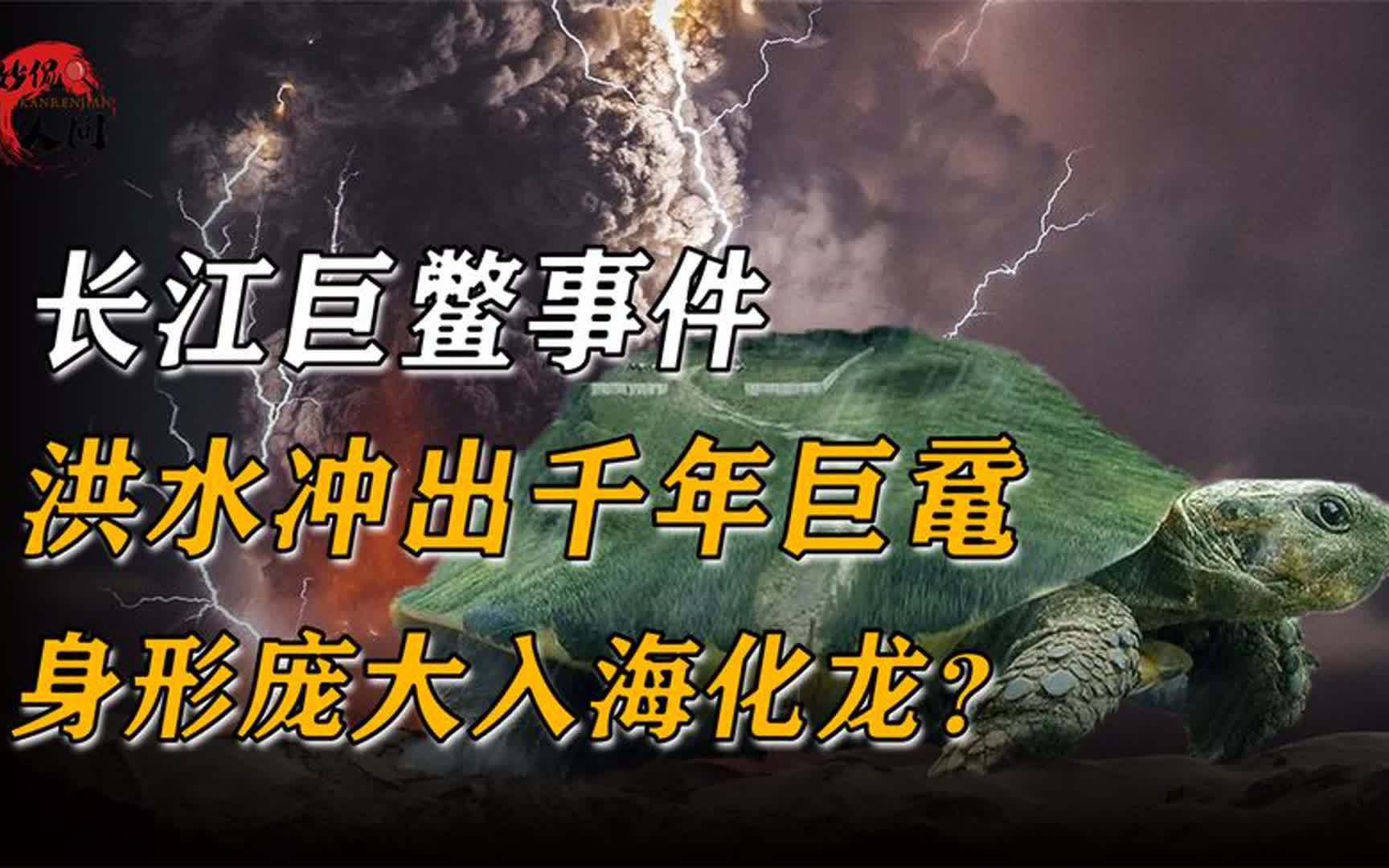 长江巨鳖事件,洪水冲出千年巨鼋,身形巨大入海化龙?哔哩哔哩bilibili