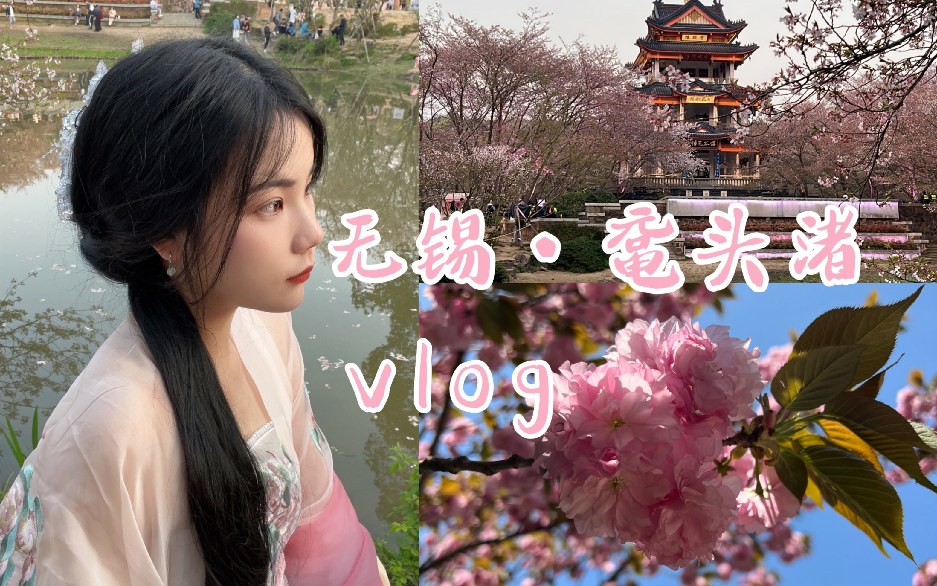 【无锡】鼋头渚赏樱｜惠山古镇｜寄畅园｜南长街｜原来诗里的春天真的存在，记录四月出行