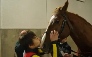 Télécharger la video: ［0514皮匠庆生］黄金巨匠オルフェーヴル Orfevre＜金色的传说＞ 生涯纪录视频