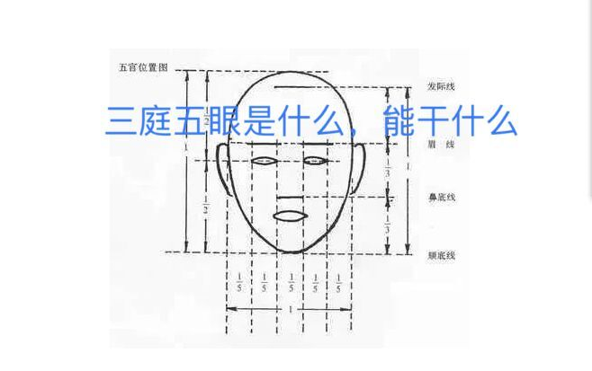 什么是三庭五眼,画三庭五眼对你有什么帮助,自学摸鱼的小伙伴可以来看看哔哩哔哩bilibili