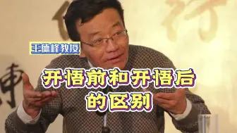 下载视频: 王德峰：开悟前和开悟后的区别