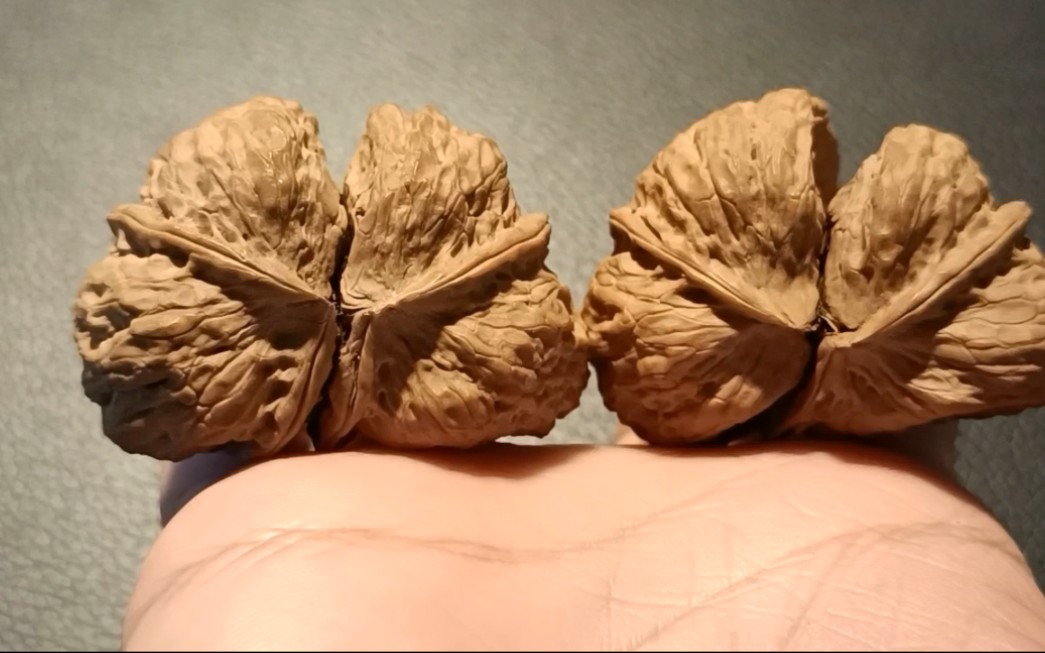 文玩核桃50mm,蝴蝶连体异型,这配对非常少有,仅此一对