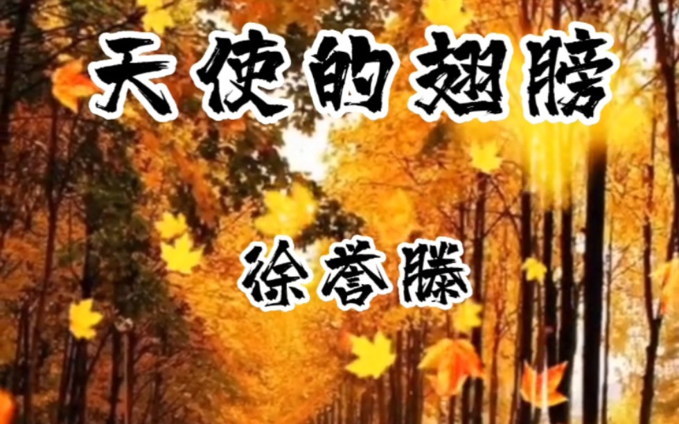 徐誉滕《天使的翅膀》