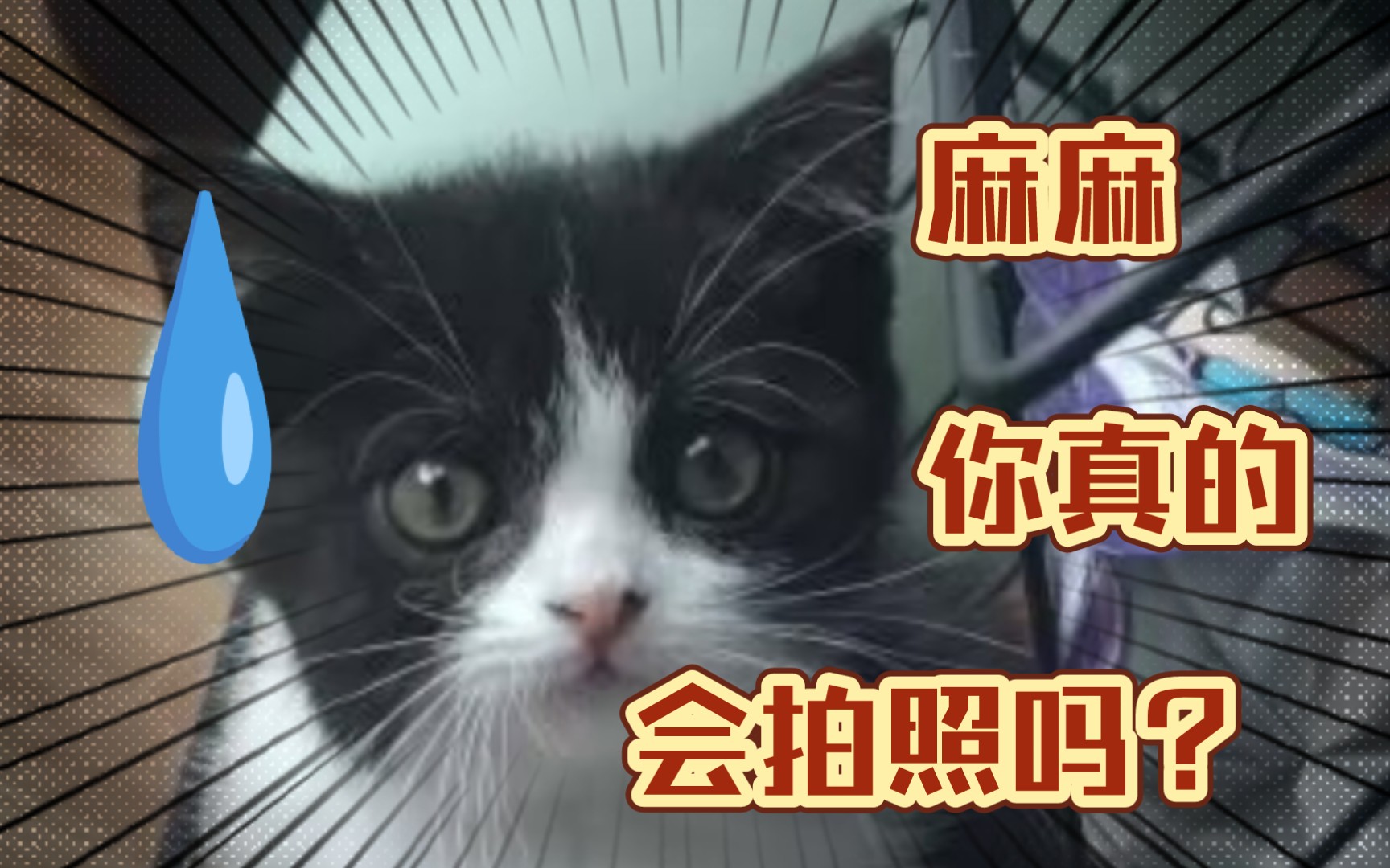 姨姨和亲妈的区别哔哩哔哩bilibili