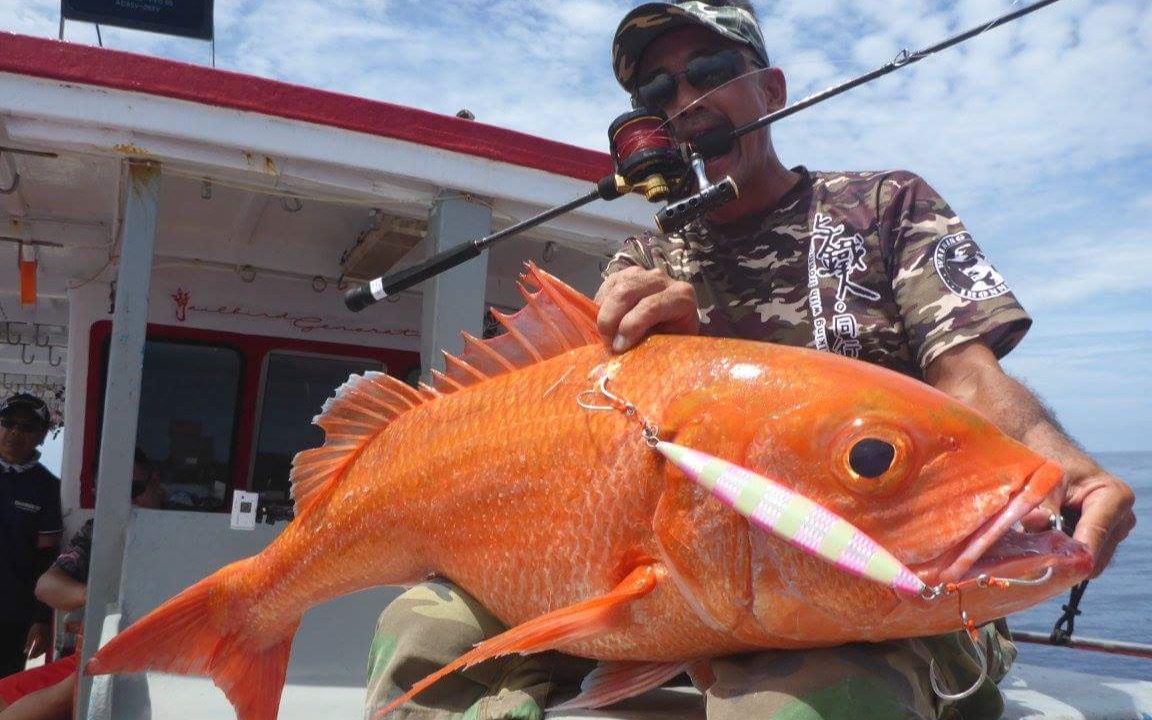 路亚钓鱼海钓马来西亚深海慢摇铁板