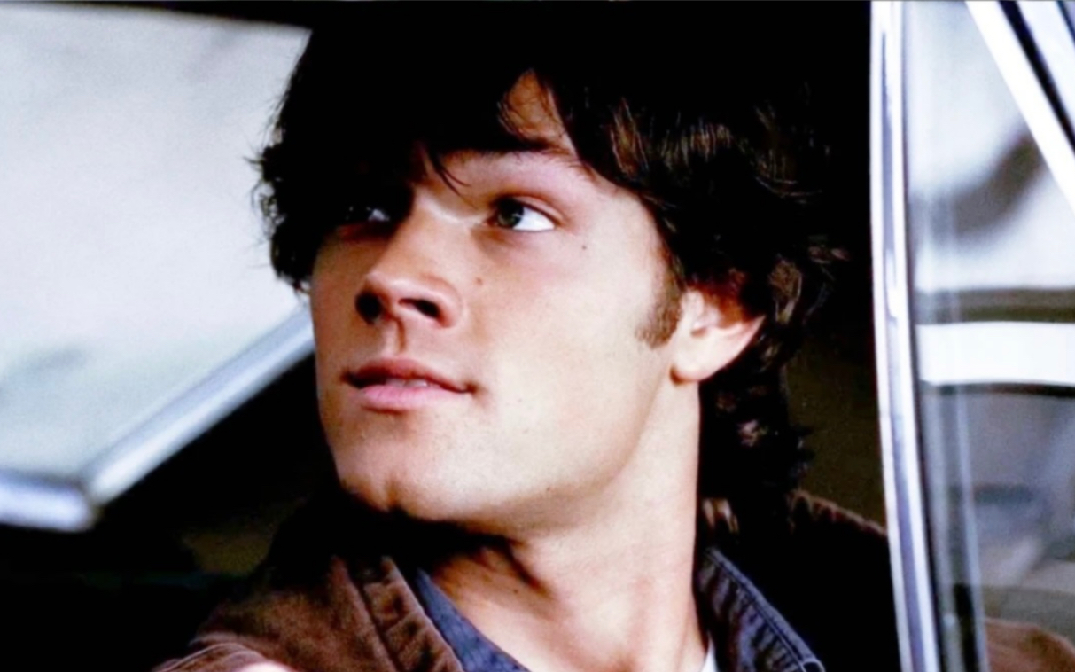 【spn|sam winchester】aint no other side|三米:一款疯批巨狗(点击