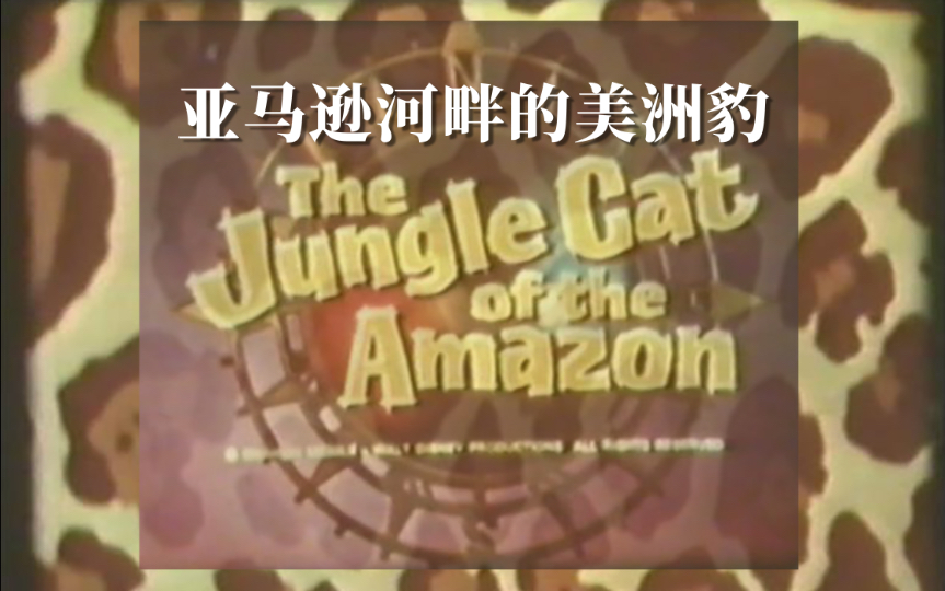 [图]80年代国配版美洲虎纪录片“Jungle Cat”片段