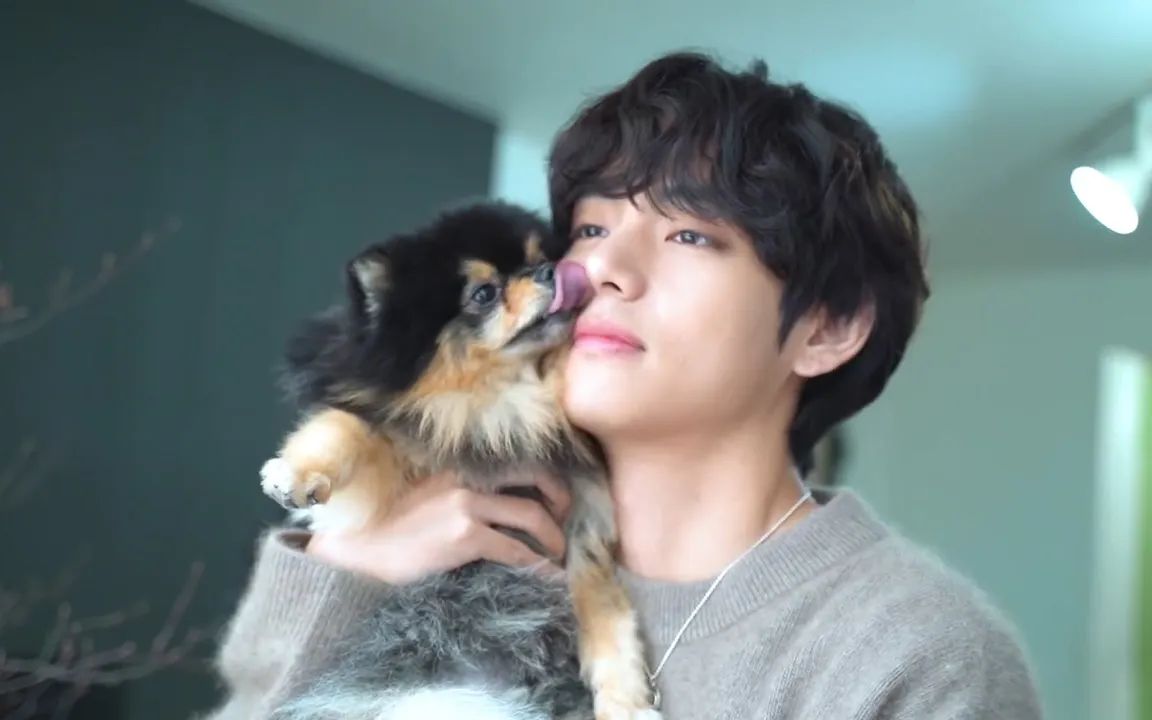 【金碳】对泰亨来说非常珍贵的碳尼,被泰爸爸疼爱着的日常