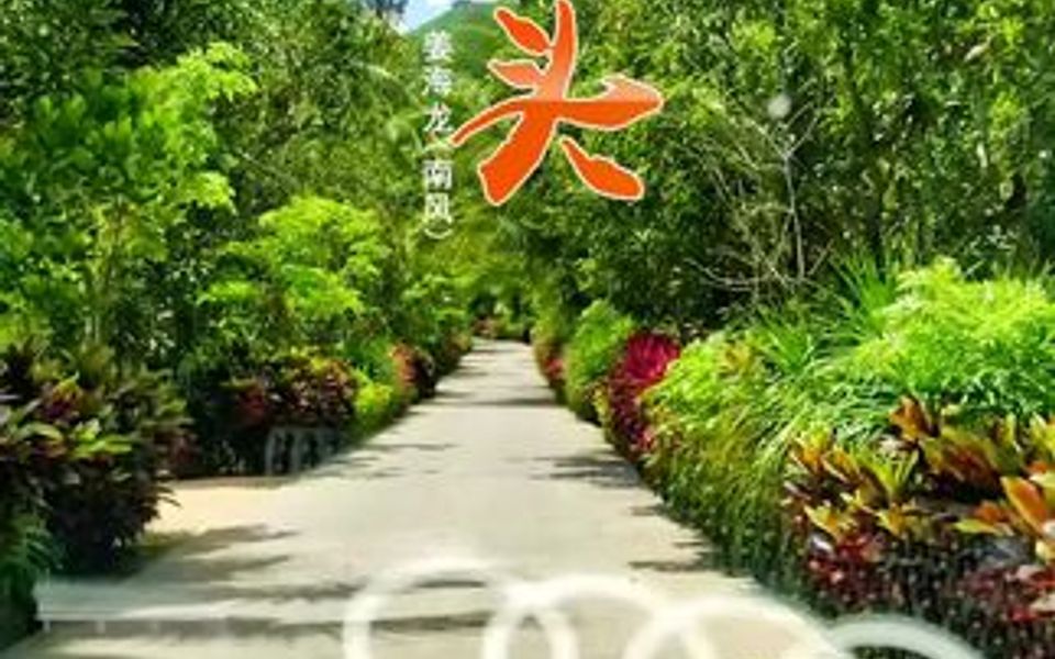 再美的风景,也无法掩盖内心的忧愁!哔哩哔哩bilibili