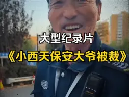 Descargar video: 大型纪录片《工资是上午涨的，人是下午被裁的》