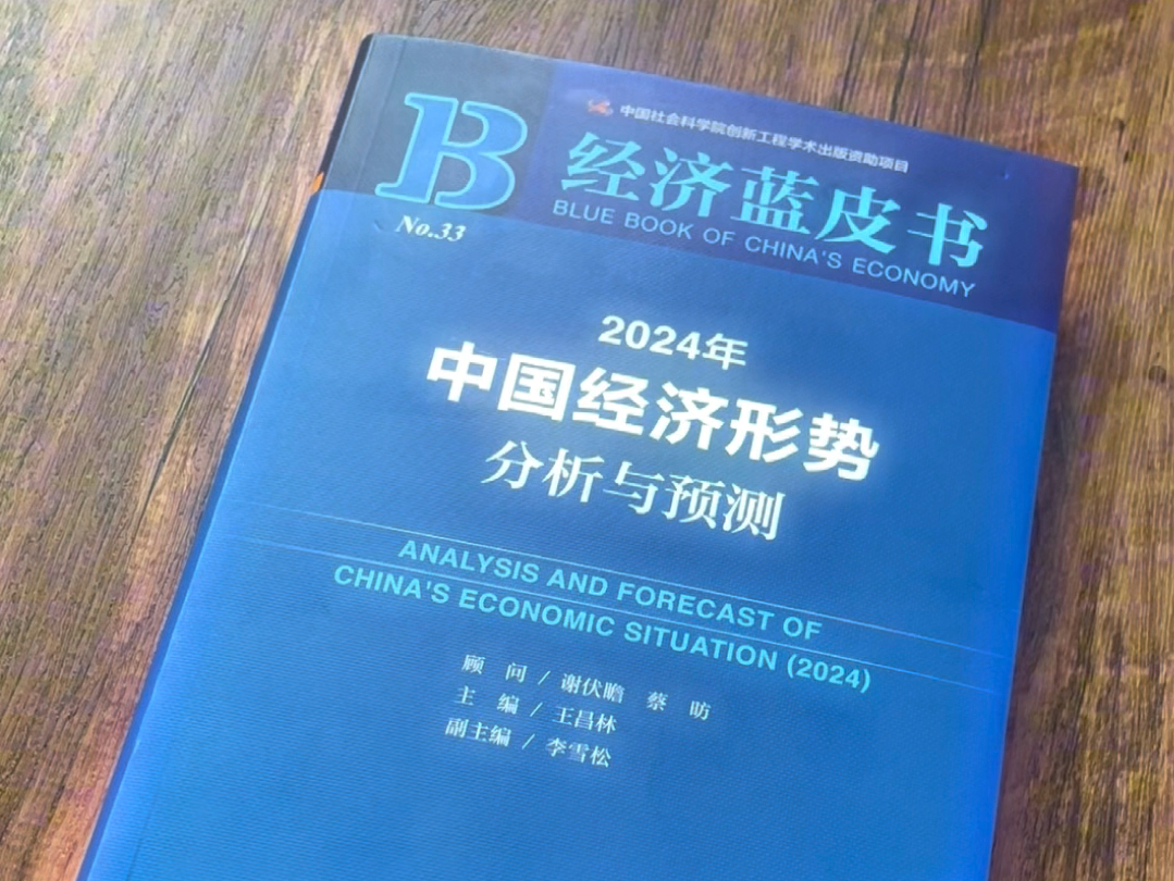 2024中国经济蓝皮书!每年必看系列!前瞻性非常强!哔哩哔哩bilibili