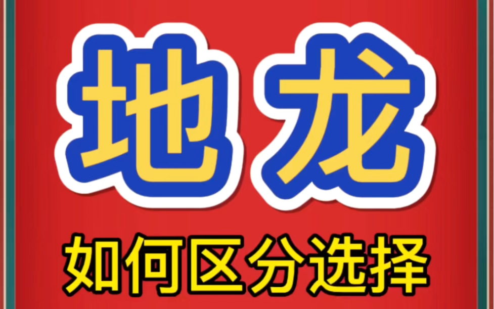 中药材批发市场地龙如何选择哔哩哔哩bilibili