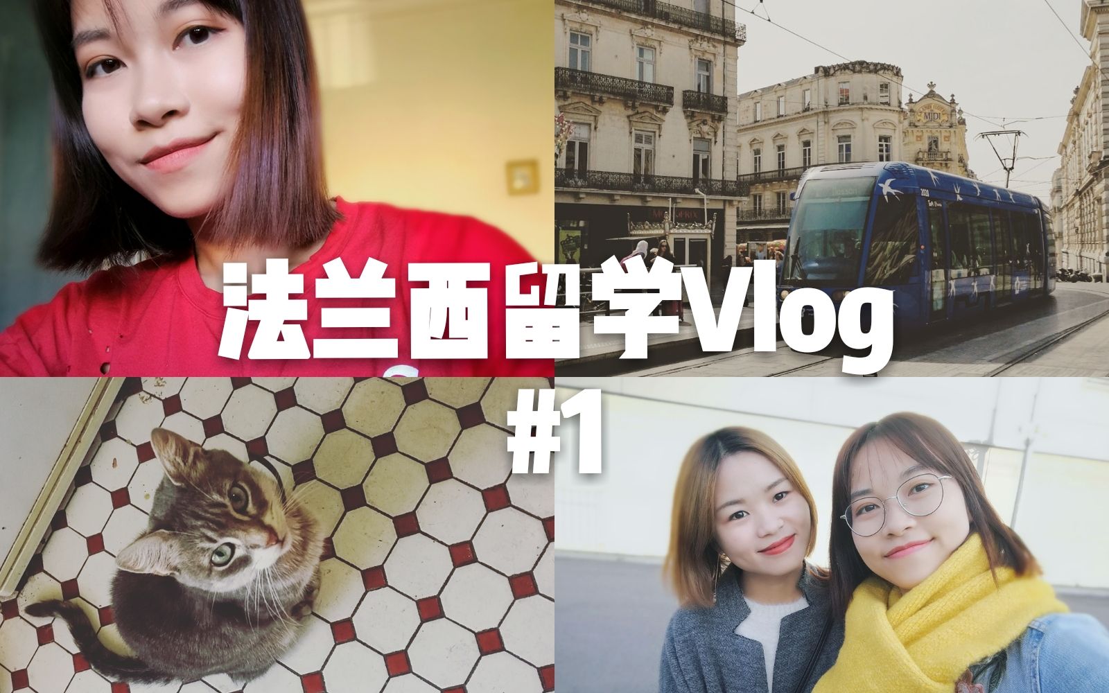 【Louis陆一】La vie en France|Vlog#1 法国留学汪的日常!跟我一起逛逛小佩皮哔哩哔哩bilibili