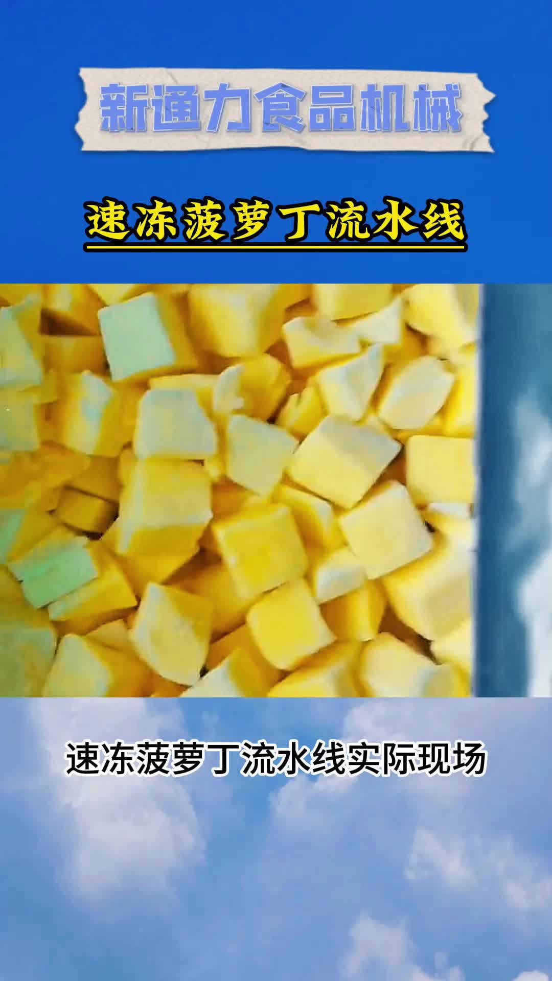 速冻菠萝丁流水线试机现场哔哩哔哩bilibili