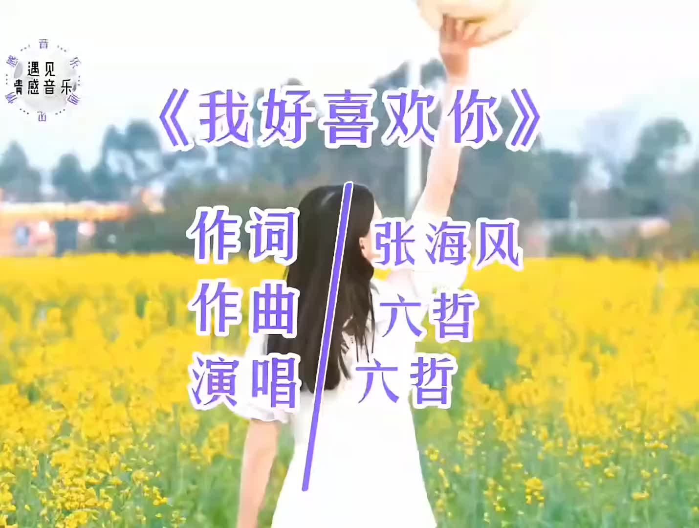 六哲的我好喜欢你喜欢你迷人的眼睛思考的表情动听的声音我真的好