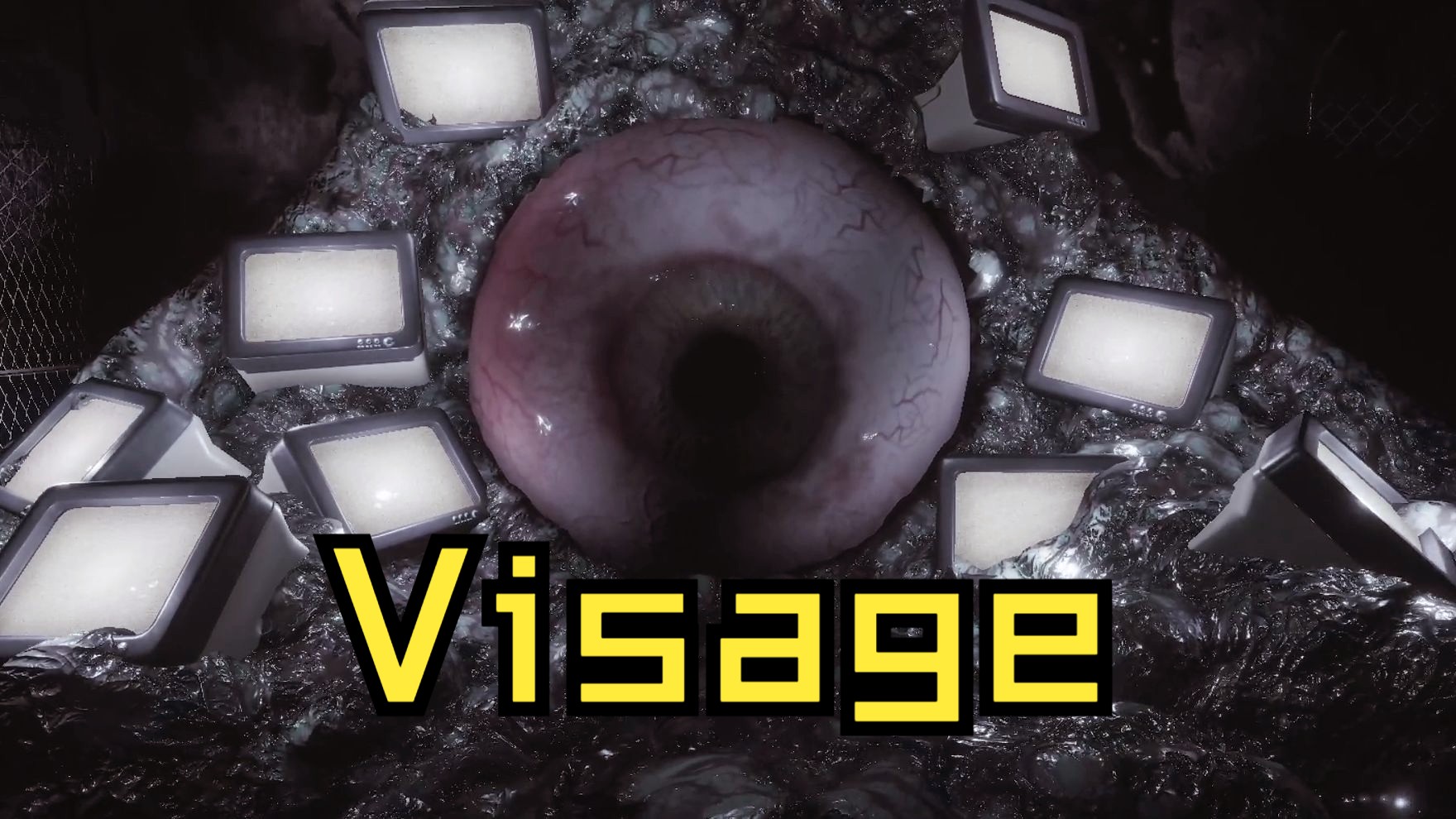 内含丰富小可爱 《visage|面容》第三章 实况