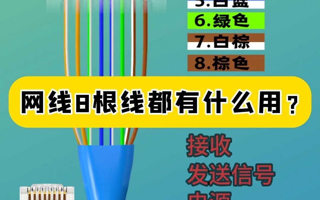 大部分人都不知道!网线8根线都有什么用?哔哩哔哩bilibili