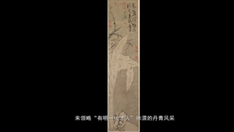 明代青藤画派鼻祖徐渭代表作《梅花蕉叶图》,现藏北京故宫博物院