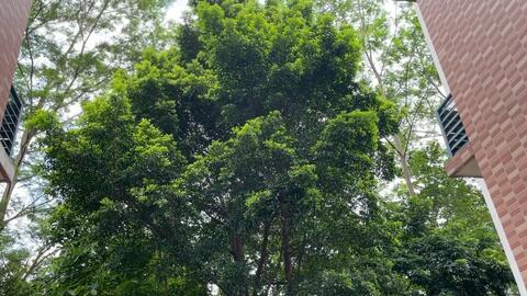 三餐四季 独自一人 静待花开 哔哩哔哩