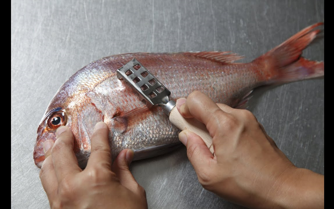 鸡蛋狂魔如何煮鱼肉