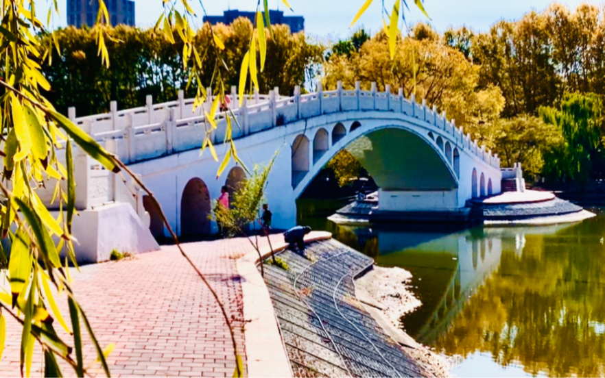 包头市劳动公园——水榭亭台环绕 鱼鸟争奇斗艳