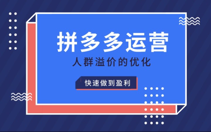 拼多多开店运营实操干货教程分享,人群溢价的优化,快速做到盈利!哔哩哔哩bilibili