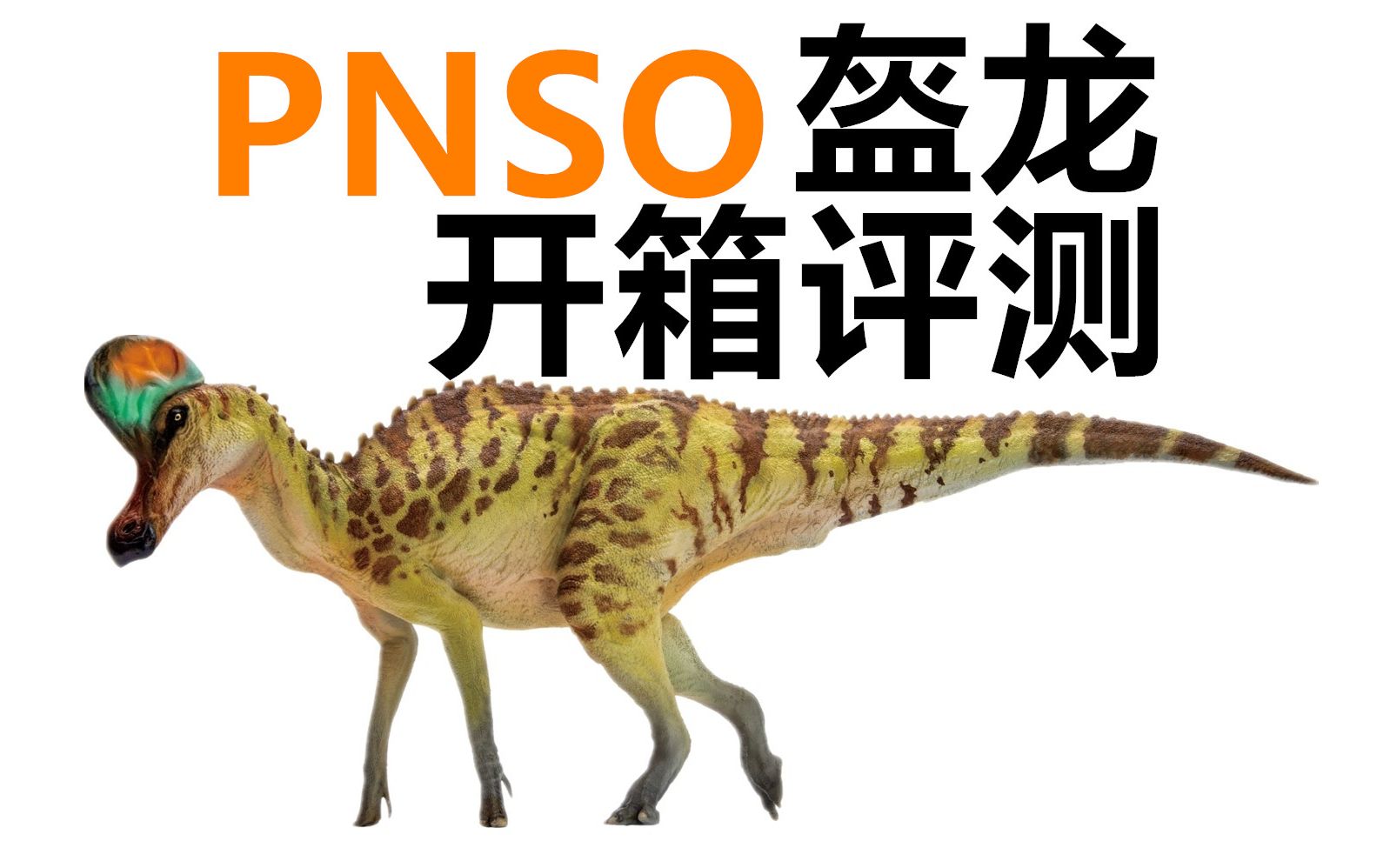 【pnso】盔龙模型开箱评测